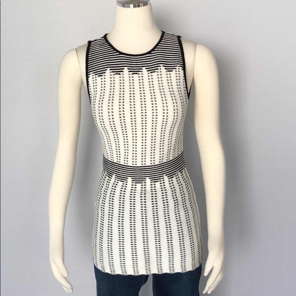 NWT WHBM Sleeveless Graphic Dot Sweater XS - Picture 5 of 15